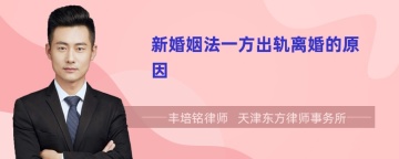 新婚姻法一方出轨离婚的原因