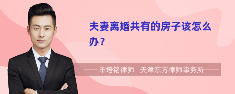 夫妻离婚共有的房子该怎么办？