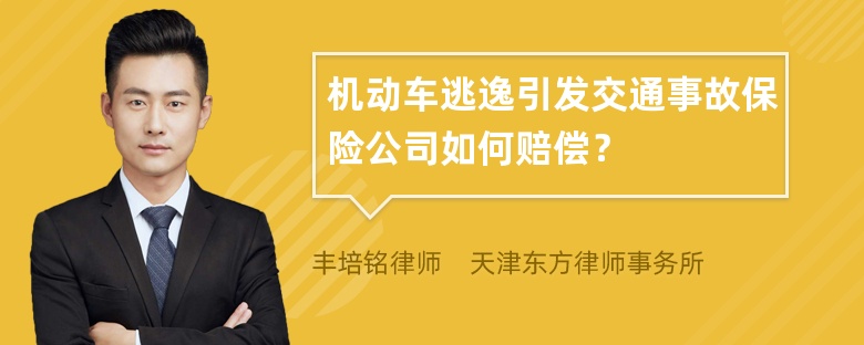 机动车逃逸引发交通事故保险公司如何赔偿？