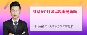 怀孕6个月可以起诉离婚吗