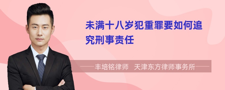 未满十八岁犯重罪要如何追究刑事责任