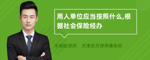 用人单位应当按照什么,根据社会保险经办