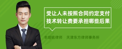 受让人未按照合同约定支付技术转让费要承担哪些后果