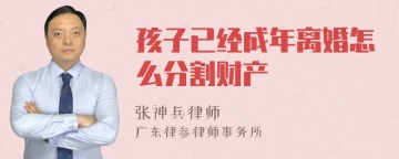 孩子已经成年离婚怎么分割财产