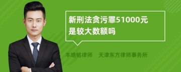 新刑法贪污罪51000元是较大数额吗