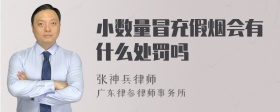 小数量冒充假烟会有什么处罚吗