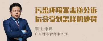 污染环境罪未遂公诉后会受到怎样的处罚