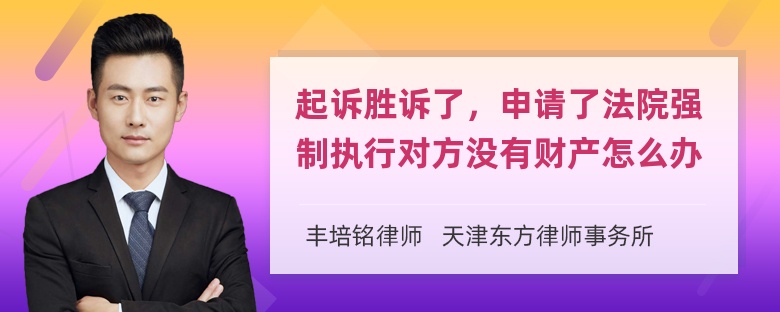 起诉胜诉了，申请了法院强制执行对方没有财产怎么办