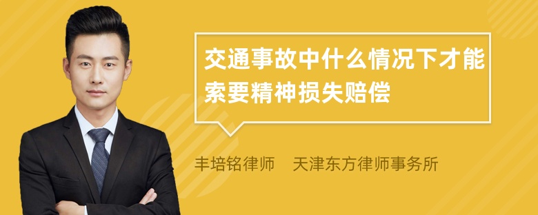 交通事故中什么情况下才能索要精神损失赔偿