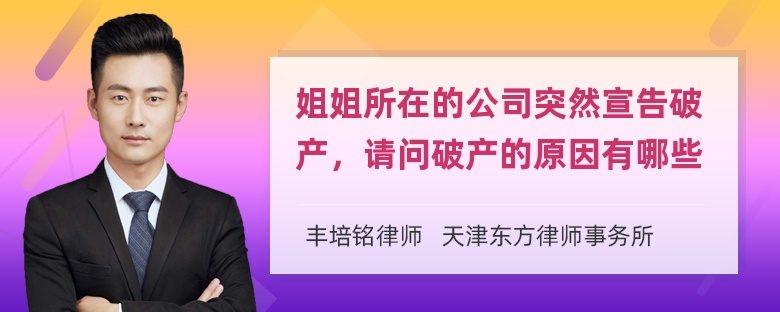 姐姐所在的公司突然宣告破产，请问破产的原因有哪些