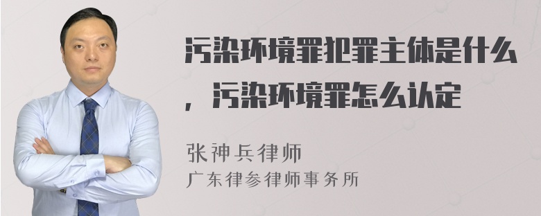 污染环境罪犯罪主体是什么，污染环境罪怎么认定