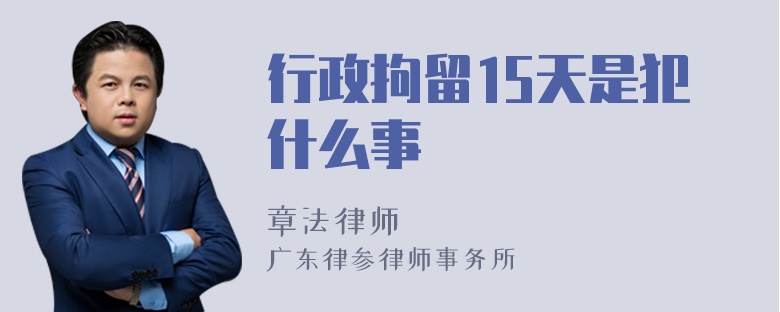 行政拘留15天是犯什么事