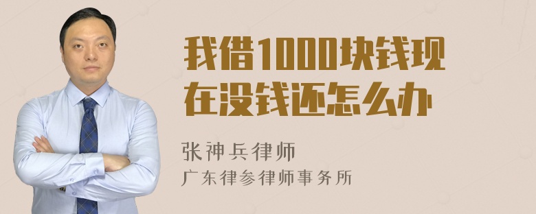 我借1000块钱现在没钱还怎么办