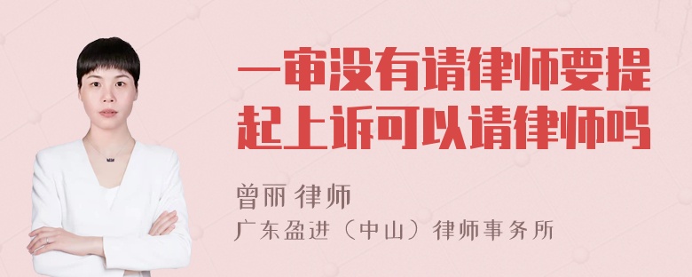 一审没有请律师要提起上诉可以请律师吗