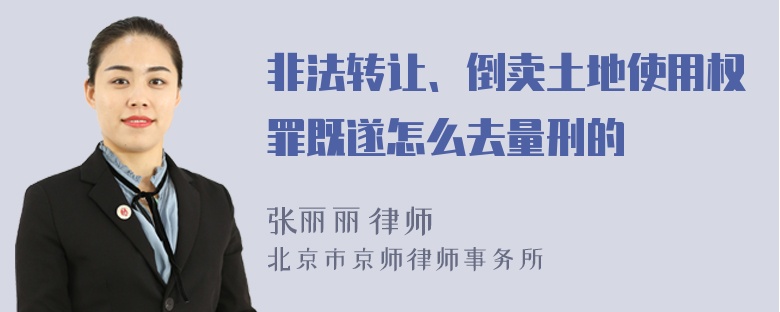 非法转让、倒卖土地使用权罪既遂怎么去量刑的