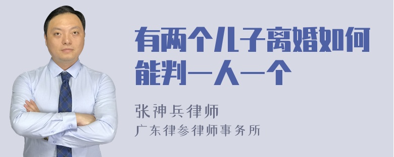 有两个儿子离婚如何能判一人一个