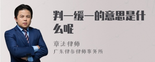 判一缓一的意思是什么呢