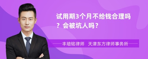 试用期3个月不给钱合理吗？会被坑人吗？