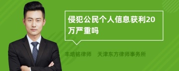 侵犯公民个人信息获利20万严重吗