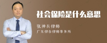 社会保险是什么意思