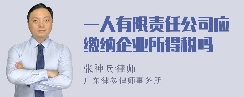 一人有限责任公司应缴纳企业所得税吗