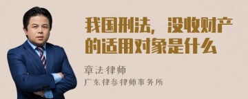 我国刑法，没收财产的适用对象是什么