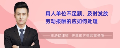 用人单位不足额、及时发放劳动报酬的应如何处理