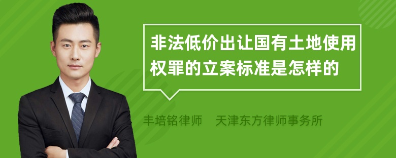 非法低价出让国有土地使用权罪的立案标准是怎样的