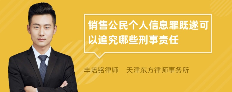 销售公民个人信息罪既遂可以追究哪些刑事责任