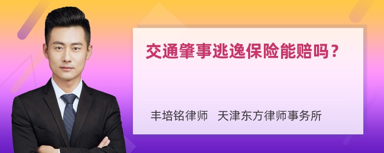 交通肇事逃逸保险能赔吗？