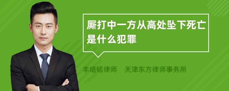 厮打中一方从高处坠下死亡是什么犯罪