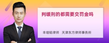 判缓刑的都需要交罚金吗