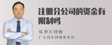 注册分公司的资金有限制吗