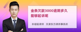 金条欠款3000逾期多久能够起诉呢