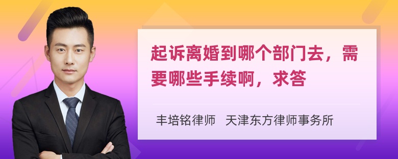 起诉离婚到哪个部门去，需要哪些手续啊，求答