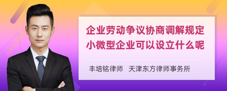 企业劳动争议协商调解规定小微型企业可以设立什么呢