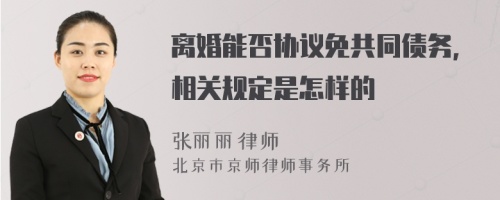 离婚能否协议免共同债务，相关规定是怎样的