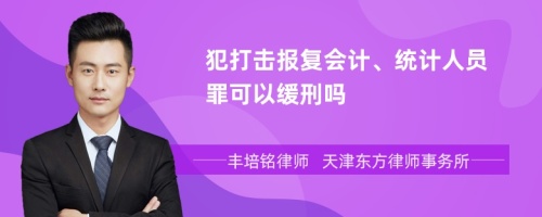 犯打击报复会计、统计人员罪可以缓刑吗