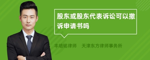 股东或股东代表诉讼可以撤诉申请书吗