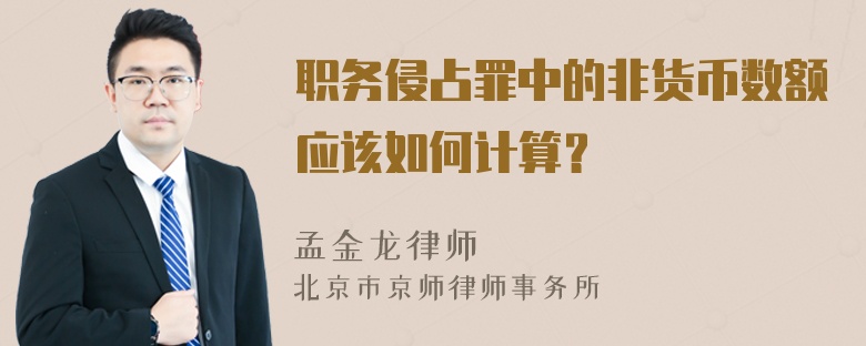 职务侵占罪中的非货币数额应该如何计算？