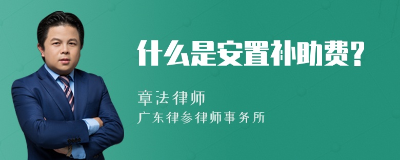 什么是安置补助费?