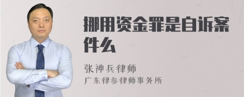 挪用资金罪是自诉案件么