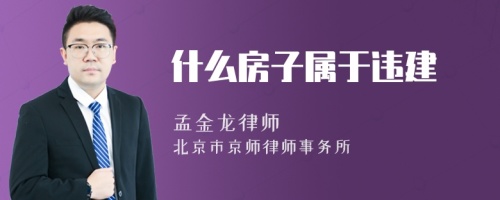 什么房子属于违建