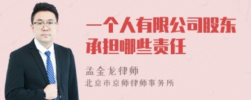 一个人有限公司股东承担哪些责任