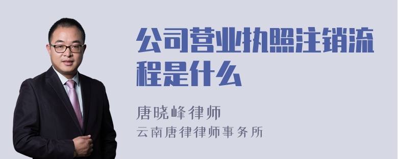 公司营业执照注销流程是什么