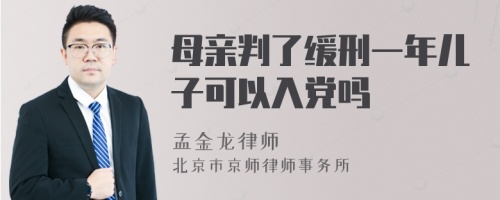 母亲判了缓刑一年儿子可以入党吗