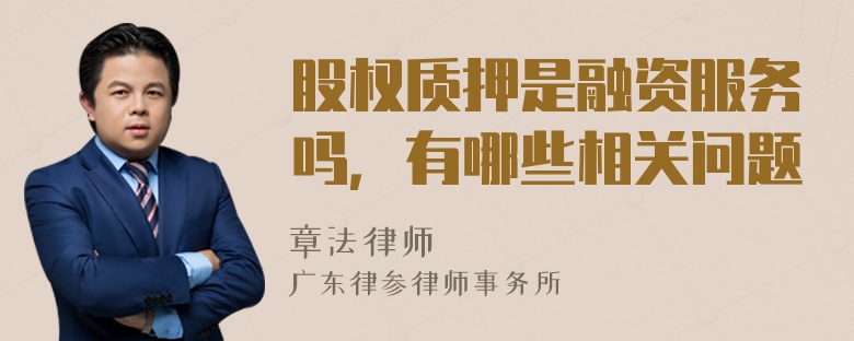 股权质押是融资服务吗，有哪些相关问题