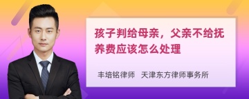 孩子判给母亲，父亲不给抚养费应该怎么处理