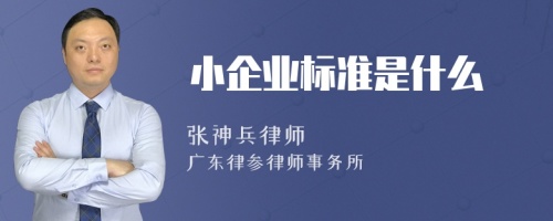 小企业标准是什么