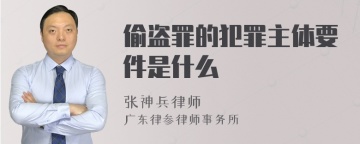 偷盗罪的犯罪主体要件是什么